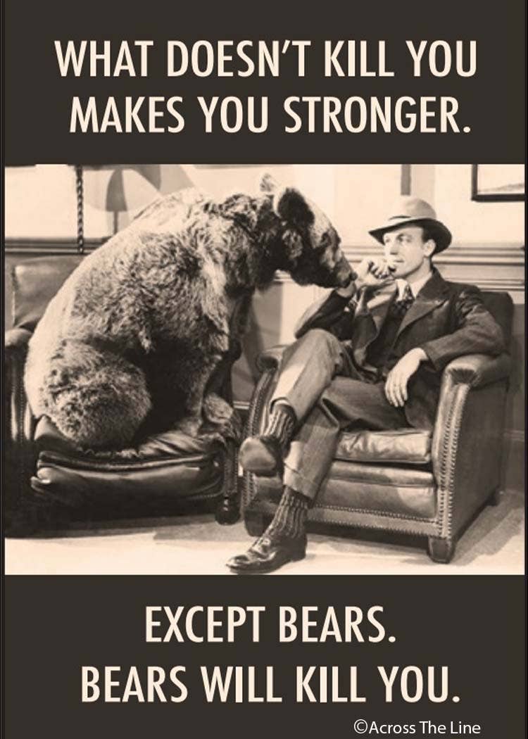 Ephemera - Magnet: What does not kill you makes you stronger.