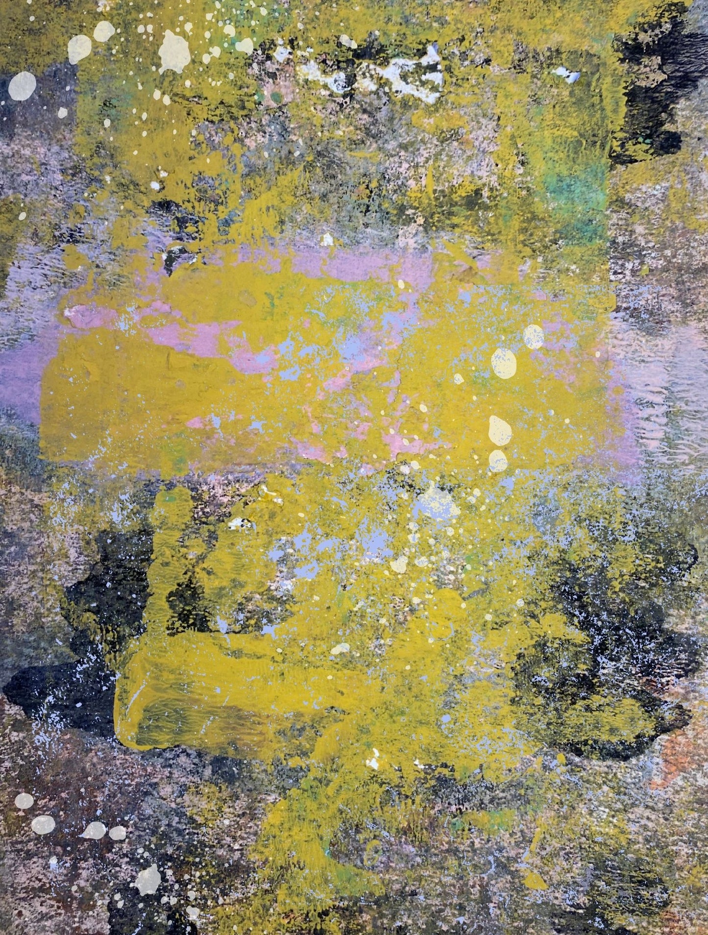 Wild & Free 6x8 paper pack