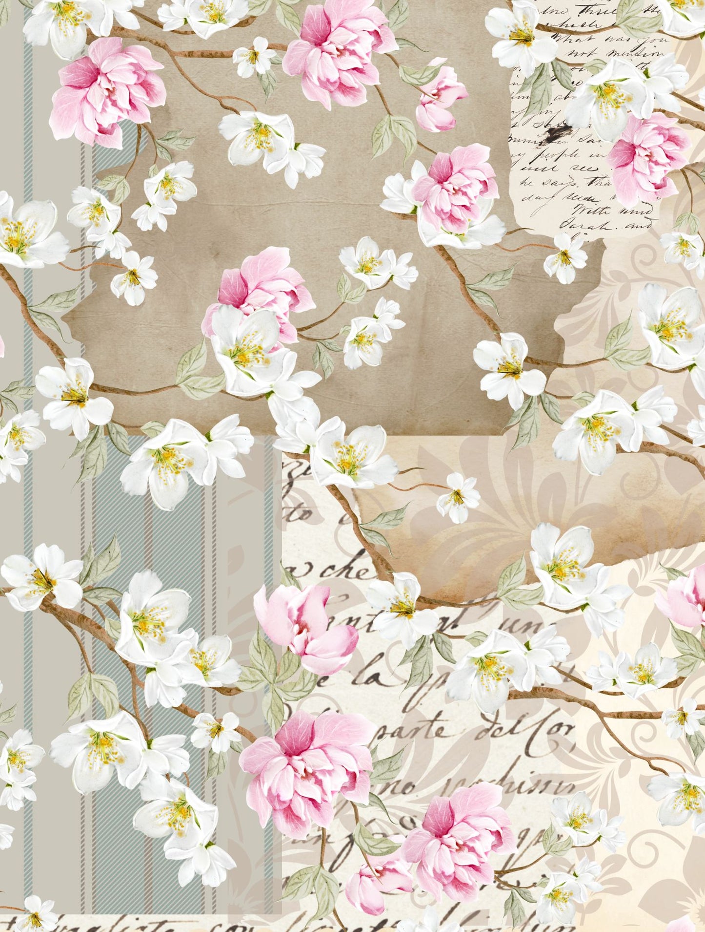 Timeless Swans 6x8 Paper Pack